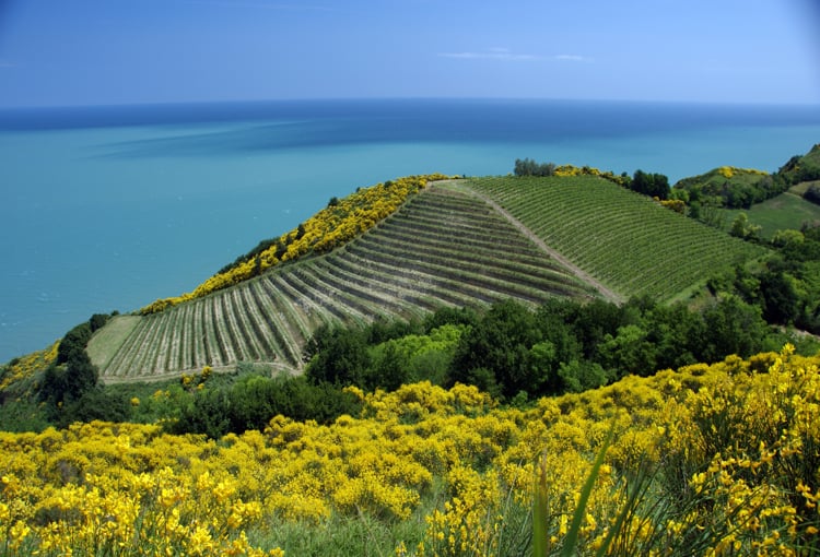 Casteldimezzo, veduta dall'alto