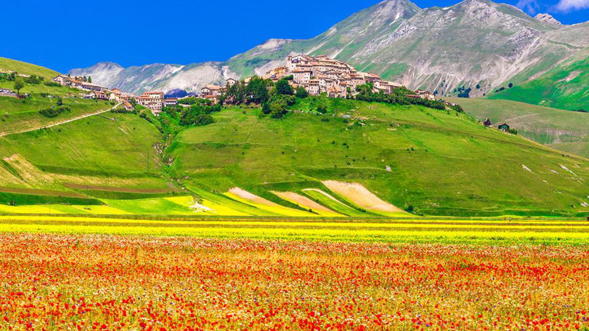 Un Altopiano Di Colori Castelluccio Di Norcia Ignas Tour