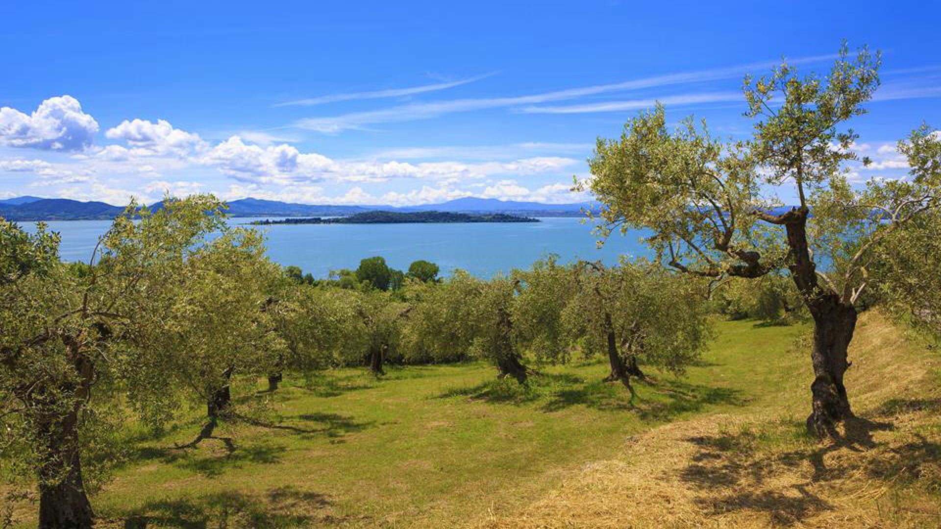 Lago-di-Transimeno.jpg